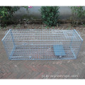 Humane Live Animal Trap Cage Cage Pułapka